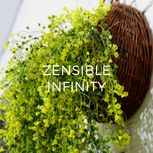 Cargar imagen en el visor de la galería, canastas de mimbre decoration | zensible-infinity