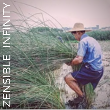 Cargar imagen en el visor de la galería, canasta-con-pompones material |zensible-infinity